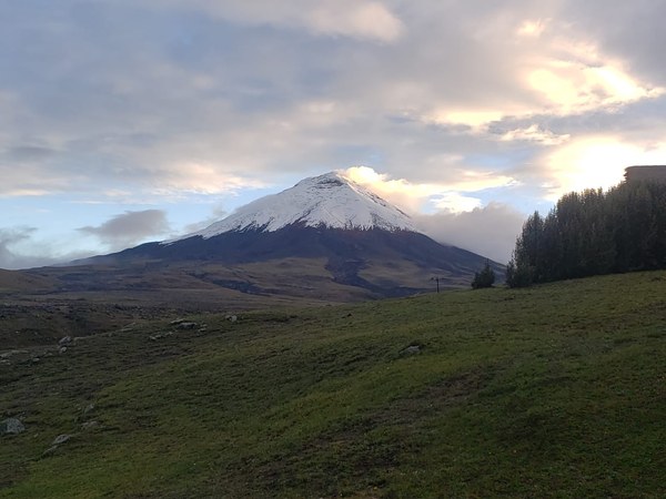 ������� 2019. ��������� ��������� - ����� �����, ���� 30