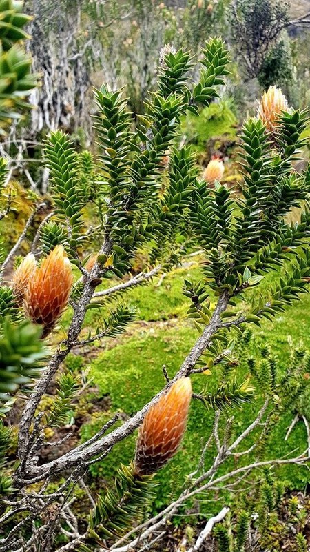 ������� 2019. ��������� ��������� - ����� �����, ���� 88