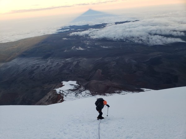 ������� 2019. ��������� ��������� - ����� �����, ���� 37