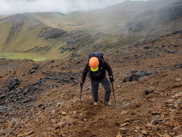 ������� 2019. ��������� ��������� - ����� �����, ���� 43