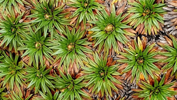 ������� 2019. ��������� ��������� - ����� �����, ���� 2