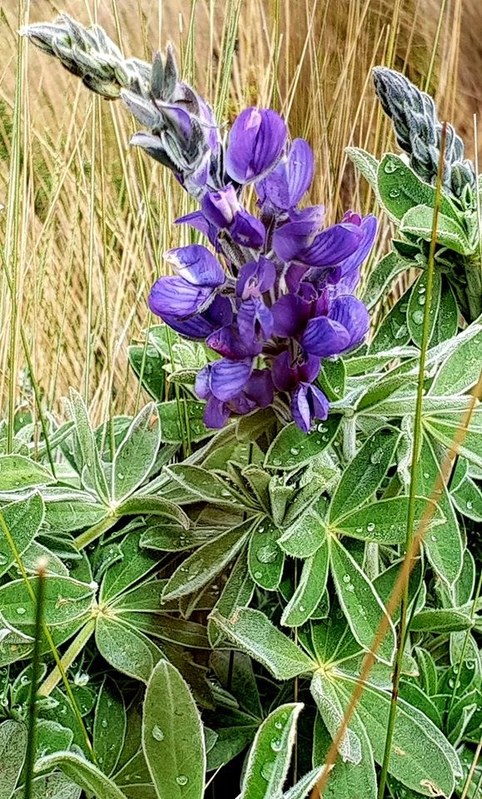 ������� 2019. ��������� ��������� - ����� �����, ���� 86