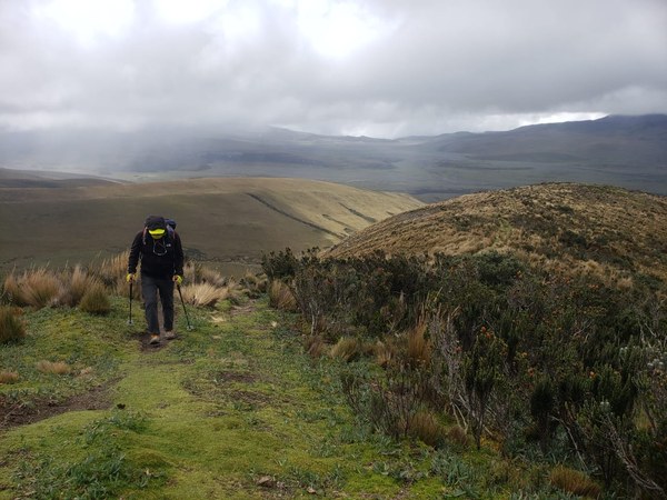 ������� 2019. ��������� ��������� - ����� �����, ���� 63