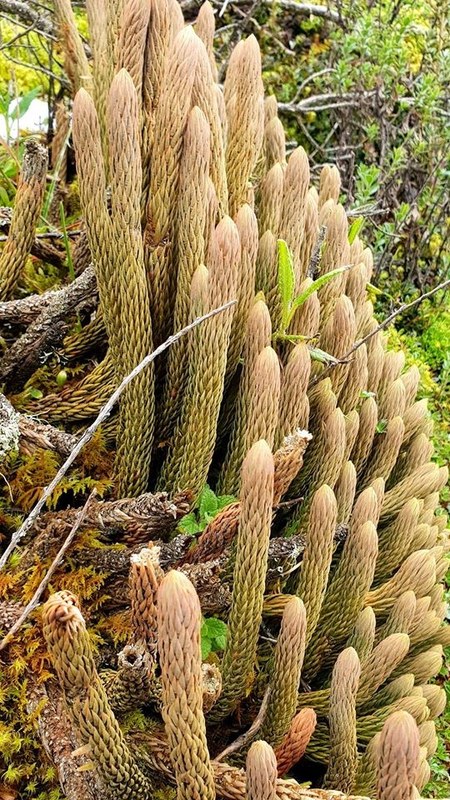 ������� 2019. ��������� ��������� - ����� �����, ���� 90