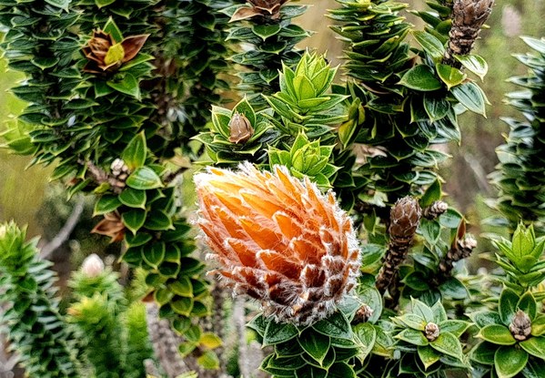 ������� 2019. ��������� ��������� - ����� �����, ���� 24