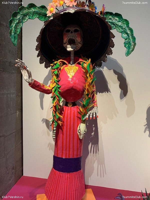 �������. ����� ��� 2019 - 2020. ������� ���������, ���� 39