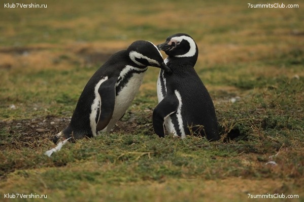 ���������� 2019 - 2020. ������ ������, ���� 14