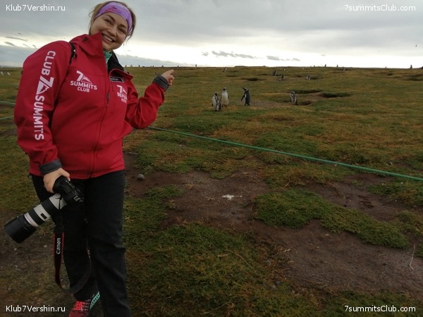 ���������� 2019 - 2020. ������ ������, ���� 35