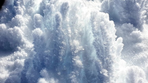 ������� 2019. ��������� ��������� - ����� �����, ���� 17