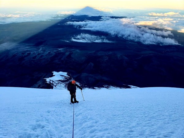 ������� 2019. ��������� ��������� - ����� �����, ���� 81