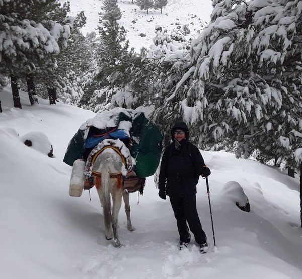 ��������, �������������� ��������, ���� 1596