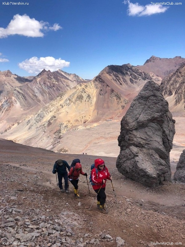  2019 - 2020.   2,  95