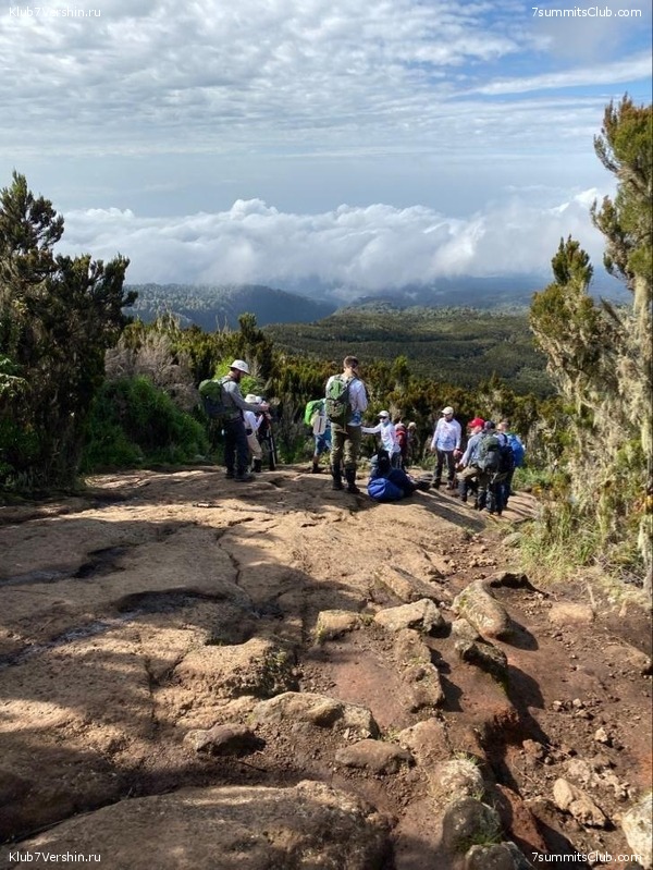   Ը .   2019-20,  100