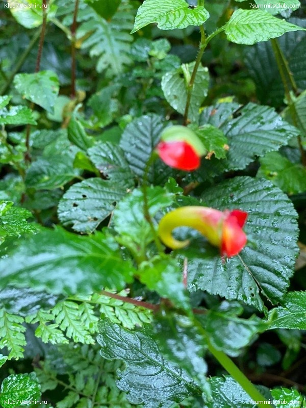 ������������ � Ը����� ���������. ����� ��� 2019-20, ���� 104