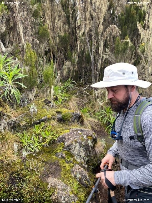 ������������ � Ը����� ���������. ����� ��� 2019-20, ���� 105