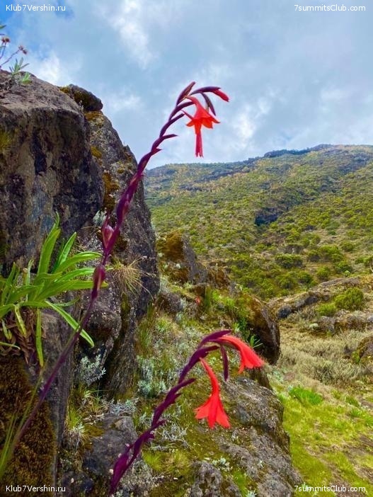 ������������ � Ը����� ���������. ����� ��� 2019-20, ���� 107