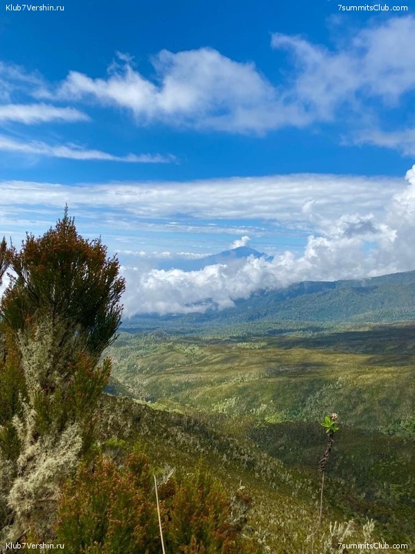 ������������ � Ը����� ���������. ����� ��� 2019-20, ���� 110