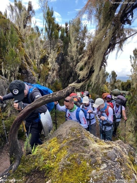 ������������ � Ը����� ���������. ����� ��� 2019-20, ���� 114