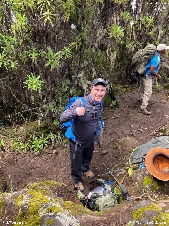 ������������ � Ը����� ���������. ����� ��� 2019-20, ���� 115