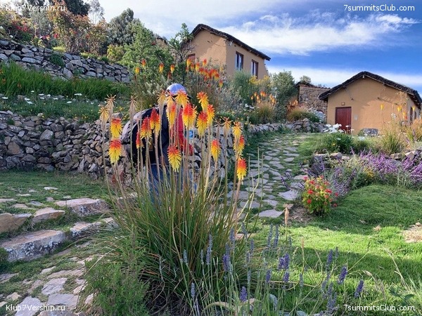 �������, ����� ������. ������ 2020, ���� 15