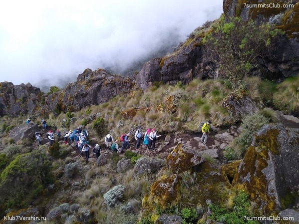 ������������ � Ը����� ���������. ����� ��� 2019-20, ���� 9