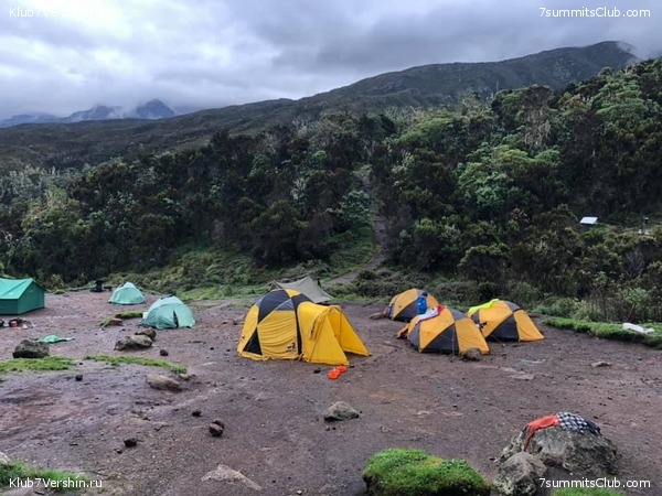 ������������ 2020. ������ - ����, ���� 46