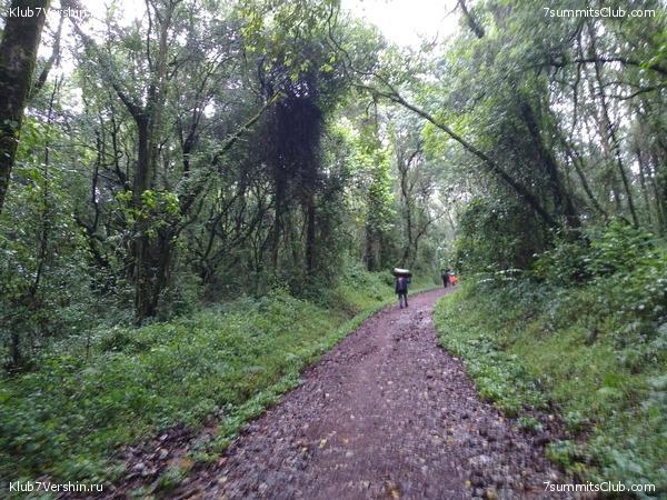 ����� �������. ���������� �� ���������� �� ������������ 2020 ���, ���� 1