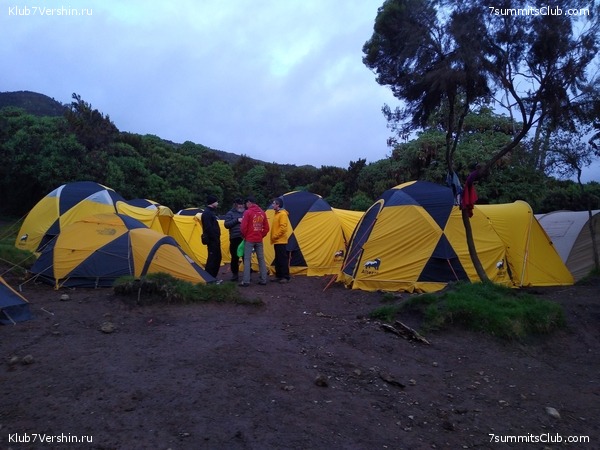 ����� �������. ���������� �� ���������� �� ������������ 2020 ���, ���� 7