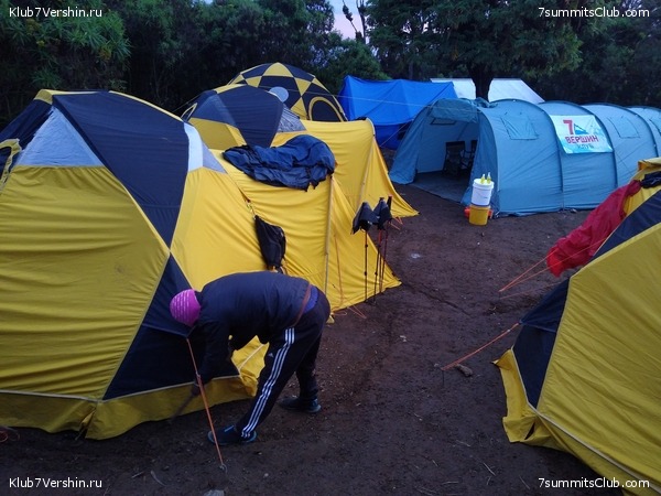 ����� �������. ���������� �� ���������� �� ������������ 2020 ���, ���� 9