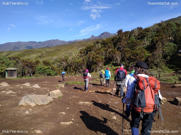 ����� �������. ���������� �� ���������� �� ������������ 2020 ���, ���� 15