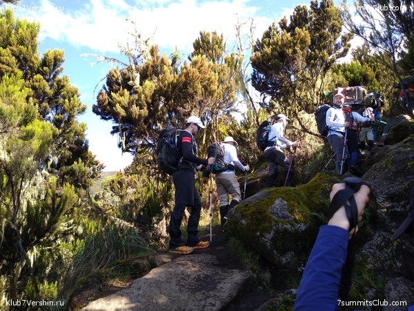 ����� �������. ���������� �� ���������� �� ������������ 2020 ���, ���� 16