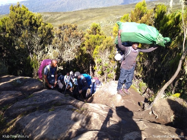 ����� �������. ���������� �� ���������� �� ������������ 2020 ���, ���� 18