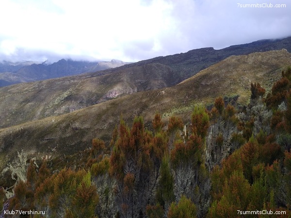 ����� �������. ���������� �� ���������� �� ������������ 2020 ���, ���� 23