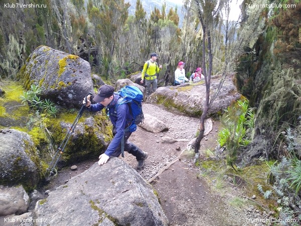 ����� �������. ���������� �� ���������� �� ������������ 2020 ���, ���� 24