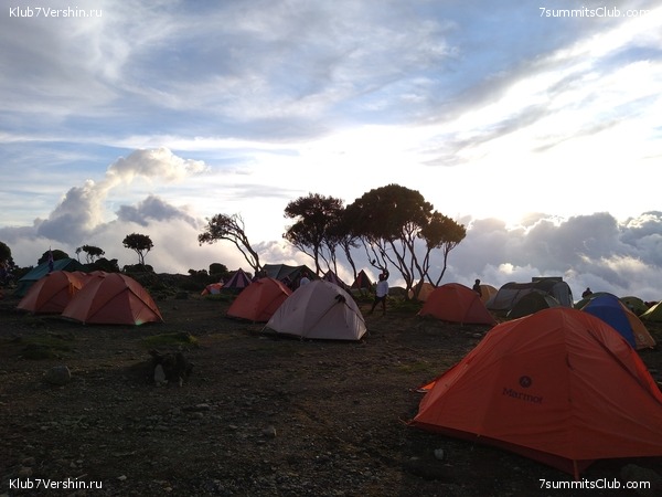 ����� �������. ���������� �� ���������� �� ������������ 2020 ���, ���� 40