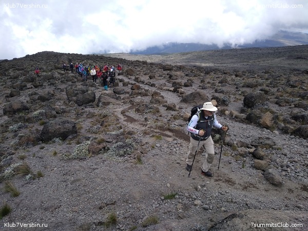 ����� �������. ���������� �� ���������� �� ������������ 2020 ���, ���� 56