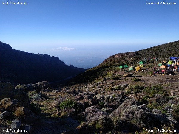 ����� �������. ���������� �� ���������� �� ������������ 2020 ���, ���� 59