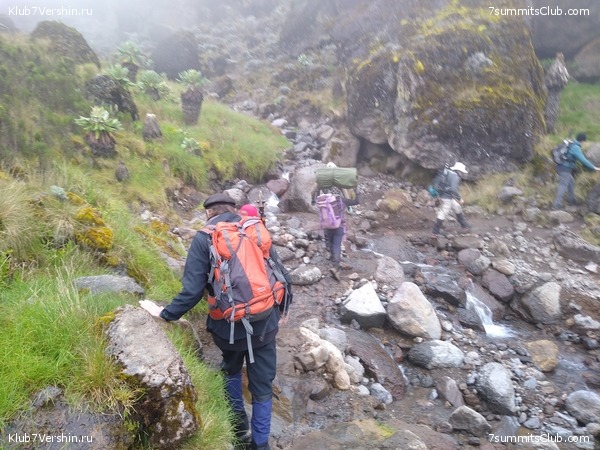 ����� �������. ���������� �� ���������� �� ������������ 2020 ���, ���� 67