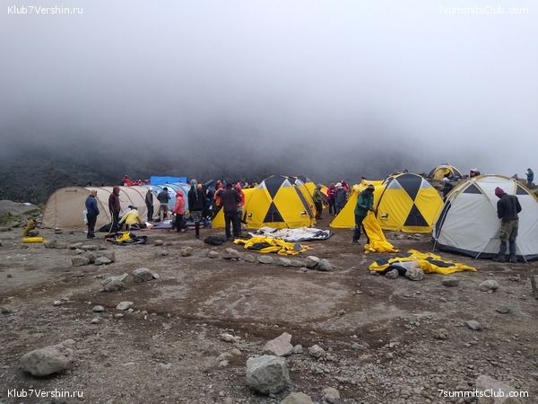 ����� �������. ���������� �� ���������� �� ������������ 2020 ���, ���� 75