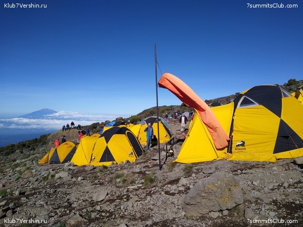 ����� �������. ���������� �� ���������� �� ������������ 2020 ���, ���� 87