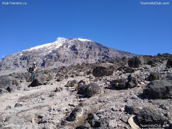 ����� �������. ���������� �� ���������� �� ������������ 2020 ���, ���� 98