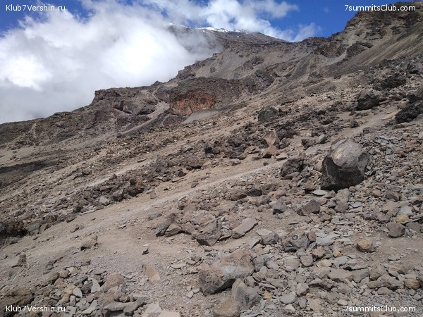 ����� �������. ���������� �� ���������� �� ������������ 2020 ���, ���� 105