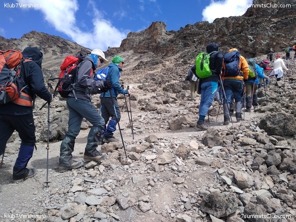 ����� �������. ���������� �� ���������� �� ������������ 2020 ���, ���� 108