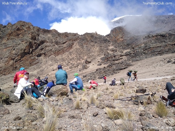 ����� �������. ���������� �� ���������� �� ������������ 2020 ���, ���� 110