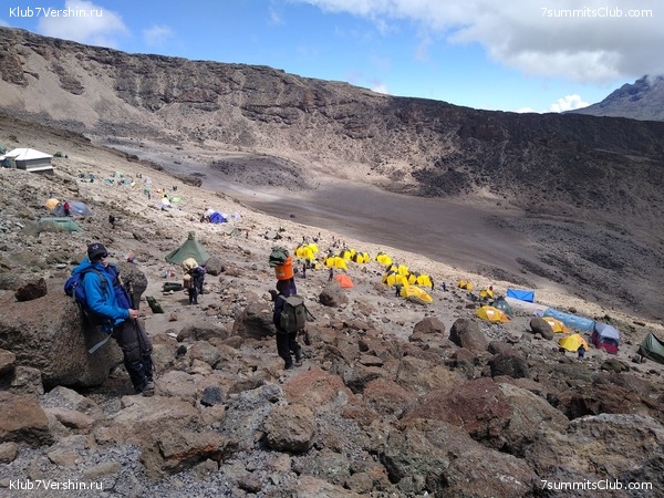 ����� �������. ���������� �� ���������� �� ������������ 2020 ���, ���� 123