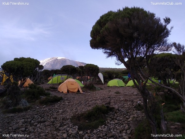 ����� �������. ���������� �� ���������� �� ������������ 2020 ���, ���� 134