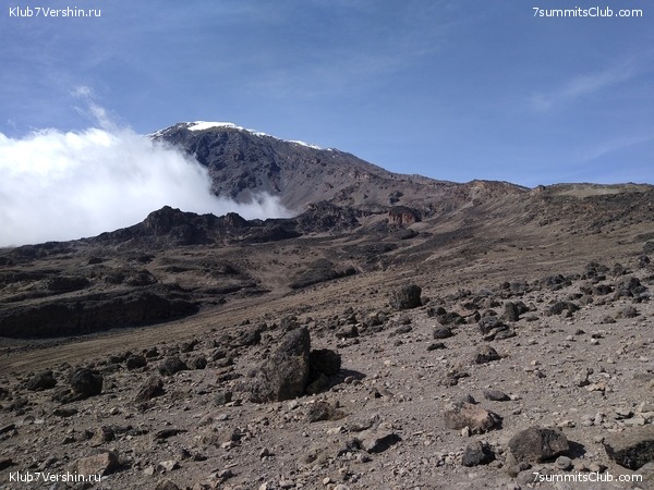 ����� �������. ���������� �� ���������� �� ������������ 2020 ���, ���� 137