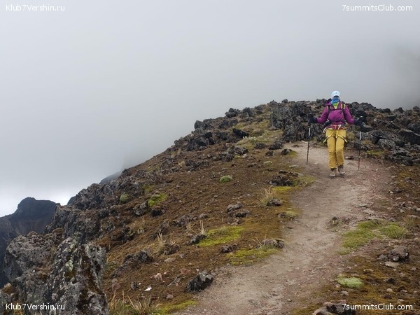 ������� ��������. 2020. ����� �������, ���� 13