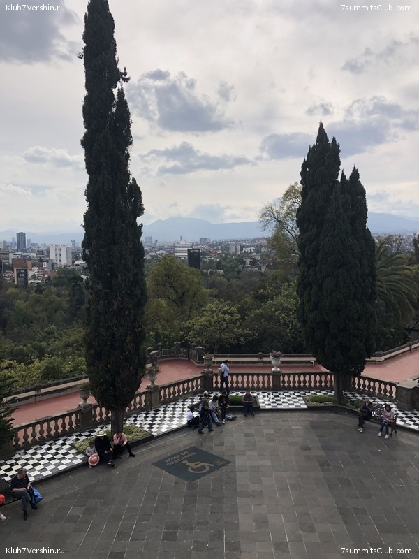 .   2019-2020.   ,  81