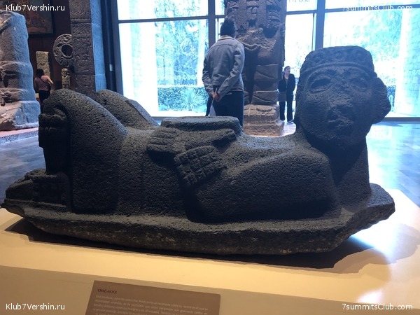 �������. ����� ��� 2019-2020. ���������� ������� ������, ���� 11